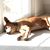 Nancy McKay's profile image