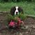 Dawn Marie Clarke's profile image