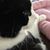 Joanne Bouldas's profile image