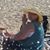 Karen Huey-Spohn's profile image