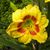 Maureen Thistle's profile image