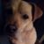 Arnos Patty's profile image