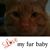 Jesse Cavazzi Garcia's profile image