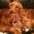 Leanne Hinke's profile image