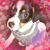 Peggy Uz's profile image
