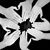 Brandee Keffer's profile image