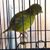 Martin Bonnici's profile image