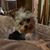 Roxanne Beechy's profile image