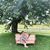Amanda Hankel's profile image