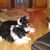 Mel Knueppel's profile image