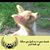 Denise Lockwood's profile image
