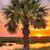 Regina Lynn Johnson's profile image