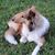 Cheryl Mackowski's profile image