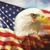 Terry Plummer's profile image