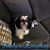 April Metheney-Dean's profile image