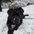 Judy Garrett Thompson's profile image