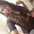 Isabel Chavera's profile image