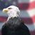 Charles Stuller's profile image