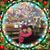 Amy Centofanti's profile image