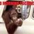 Destry Dangerfield's profile image