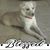 Bobbie Haskins's profile image