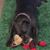 Joy Gerosa Dorn's profile image