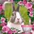 Brenda Ruffner Geiger's profile image