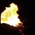 Shohel Junayed's profile image
