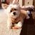 Melody Harris Sullivan's profile image