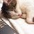 Pamela Hodges Walker's profile image