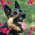 Denise Spooner's profile image