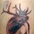 Casper Macgillivray's profile image