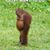 Steve Swiger's profile image