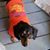 Sally Thompson's profile image
