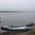 Elaine Ann Zell's profile image