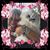 Robin Baker's profile image