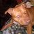 Leticia Jaimes's profile image
