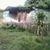 Jose J. Barrios's profile image
