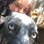 Jodi Bissell's profile image