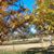 Felix Finley Real Estate's profile image