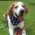 C Michelle Brown's profile image