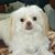 Dede Alexander's profile image