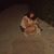 Rosemarie Ginsberg's profile image