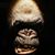 Paul Hastings's profile image