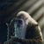 Westan James's profile image