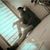 Luis Hernandez Viquez's profile image