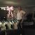 Dawn Angel Phillips Carrasco's profile image