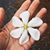 Lisa Strickland's profile image