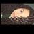Morgan Barbour's profile image