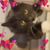 Marion Beth's profile image